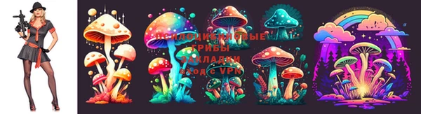 винт Новокубанск