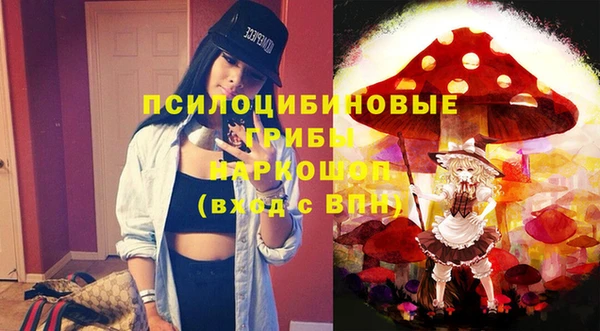 амф Новодвинск