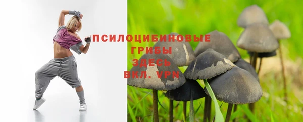 дмт Лагань
