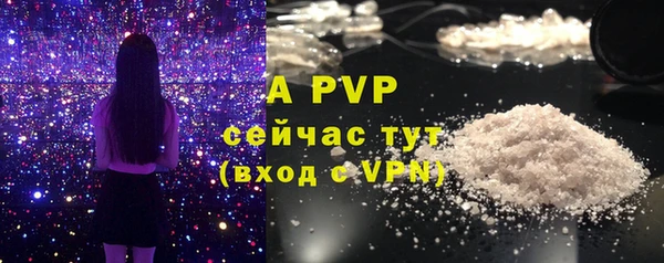 ALPHA-PVP Новозыбков