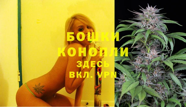амф Новодвинск