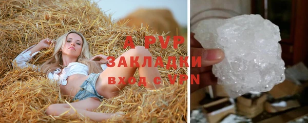 ALPHA-PVP Новозыбков