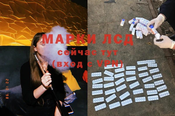 амф Новодвинск