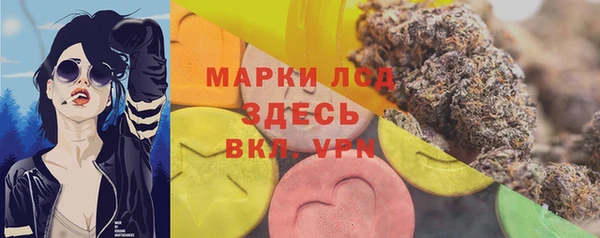 амф Новодвинск