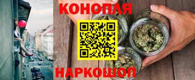 a pvp Камышлов