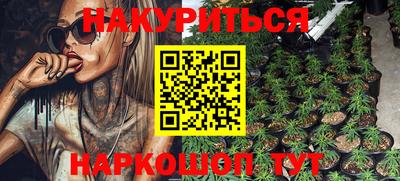 крисы Дубна