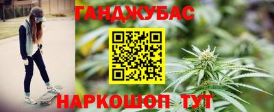 крисы Дубна