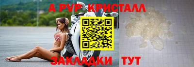 крисы Дубна