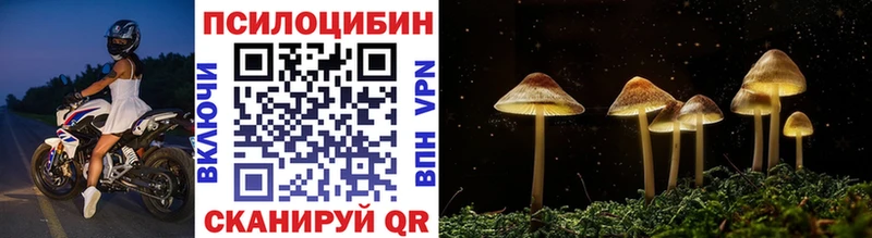 Галлюциногенные грибы Cubensis Коркино