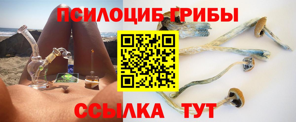 Коркино  где продают   Вход с VPN  Псилоцибиновые грибы Psilocybine cubensis 